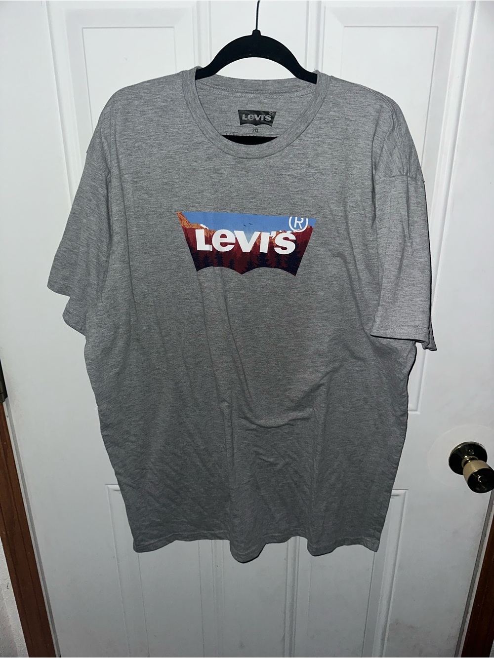 Levi's Men's Gray Logo Graphic Tee